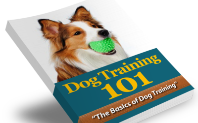 Dog Training 101