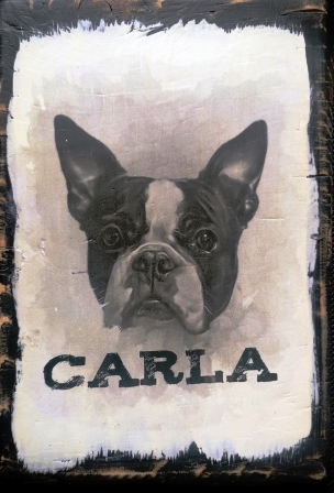 Carla a Boston Terrier memorial sign.