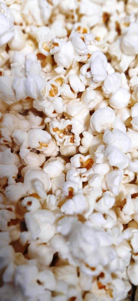 popcorn and dogs