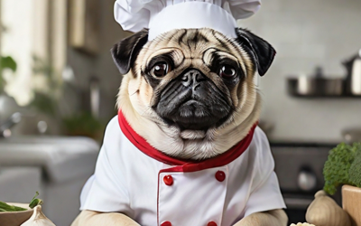 Healthy Dog Food – 10 ways you can improve your dogs health by diet change