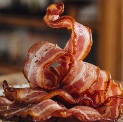 Can a dog eat bacon?