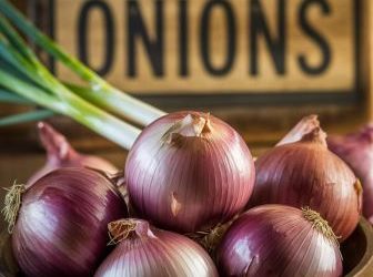 9 foods that are bad for your dogs health