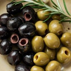can a dog eat olives