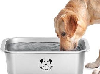 10 best dog bowls for large dogs.