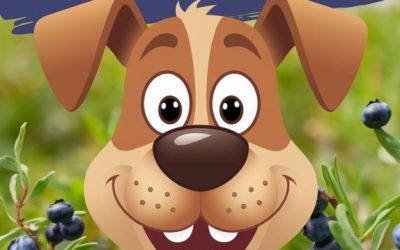 how many blueberries can a dog eat